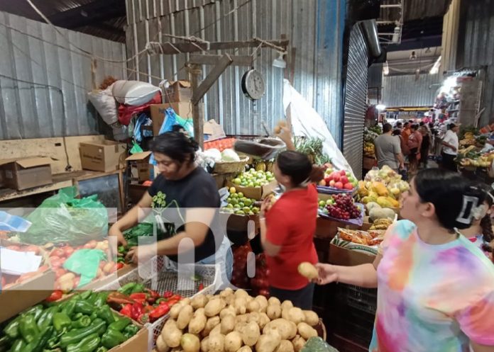 Foto: De todo un poco para la cena navideña en cada mercado de Managua / TN8