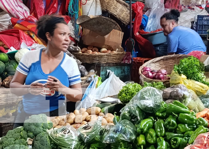 Foto: De todo un poco para la cena navideña en cada mercado de Managua / TN8