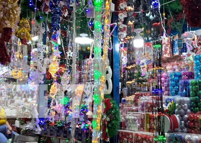 Foto: Productos de Navidad y La Purísima en el Huembes / TN8