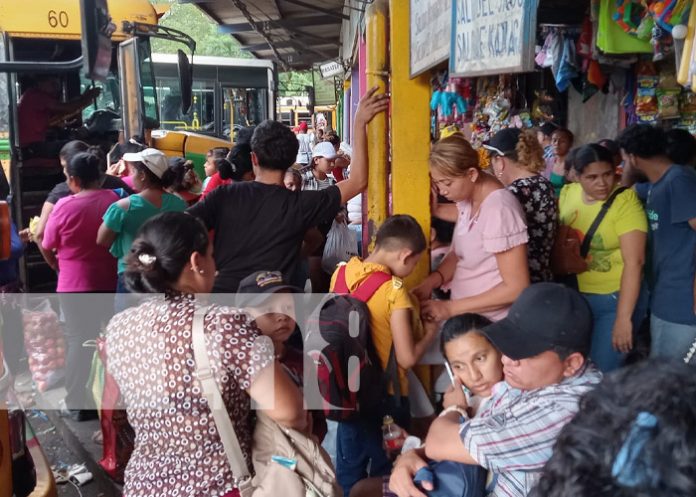 Foto: Bastante actividad en terminales de buses por vacaciones de fin de año / TN8