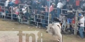 Foto: Rivas de luto: Toro enfurecido acaba con la vida de un hombre /TN8