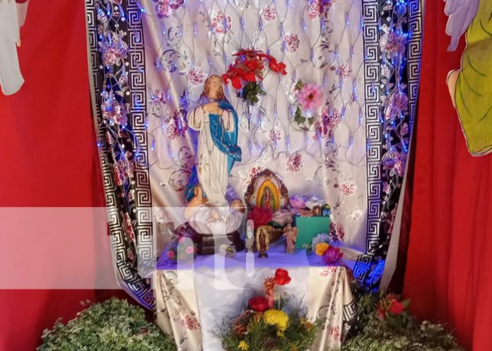 Foto: Celebración de La Guadalupana / TN8