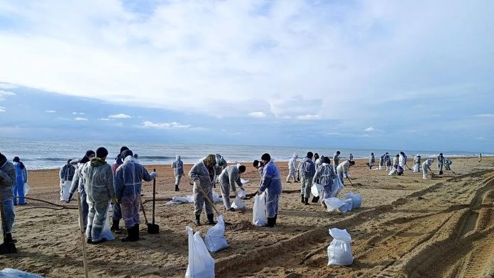 Foto: Marea negra mata a cetáceos en Sebastopol