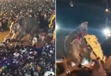 Foto: Elefante embiste a una multitud durante una festividad en la India /Cortesía