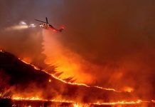 Foto: Incendios en Los Ángeles /cortesía