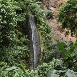 Foto: conservación del agua en la Reserva Chocoyero/Cortesía