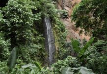 Foto: conservación del agua en la Reserva Chocoyero/Cortesía