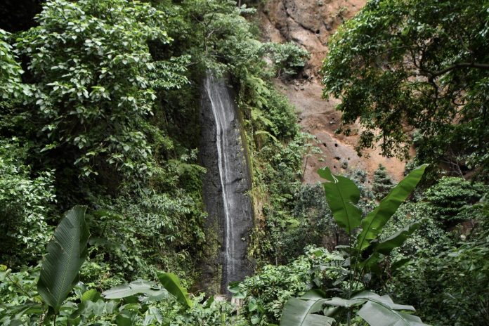 Foto: conservación del agua en la Reserva Chocoyero/Cortesía