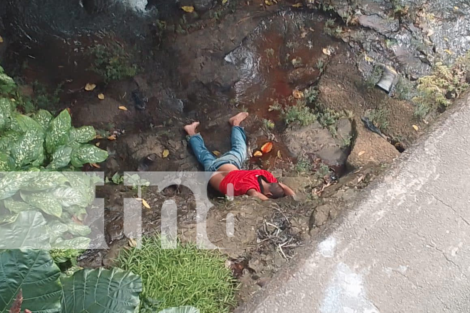 Foto: Tragedia en El Ayote: Hombre fallece al caer 10 metros desde el Puente Central/TN8