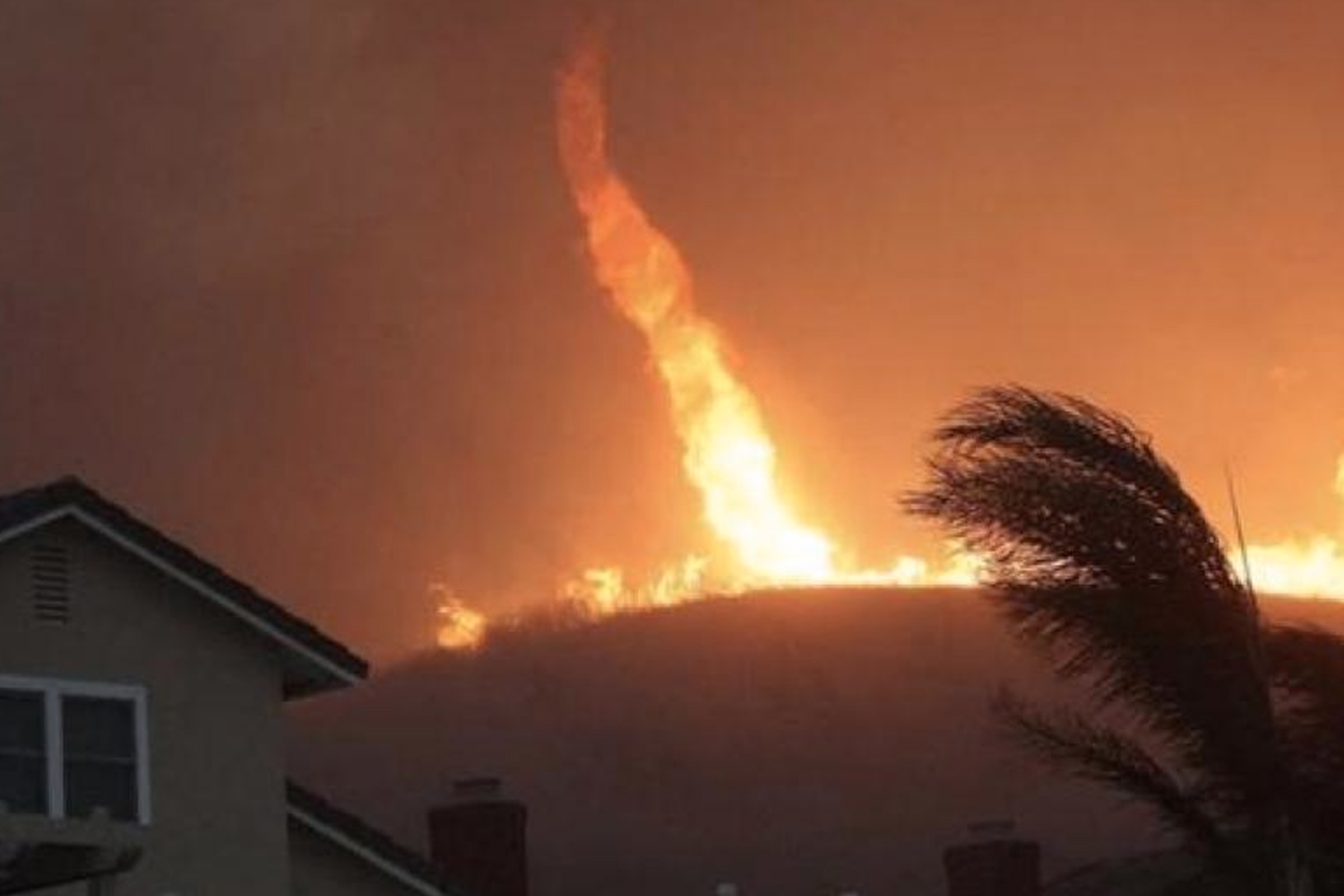 Foto: Incendio de Palisades, en Los Ángeles/Cortesía