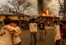 Foto: Nueva teoría apunta a la posible causa de los incendios en California / Cortesía