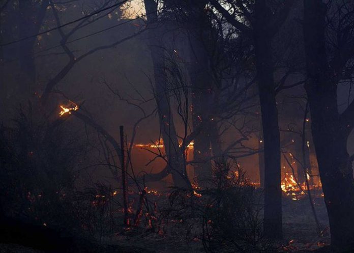 Foto: Emergencia en América del Sur /cortesía