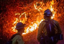 Foto:Bomberos de Los Ángeles enfrentan nuevas ráfagas de viento