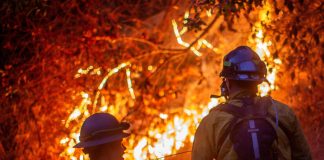 Foto:Bomberos de Los Ángeles enfrentan nuevas ráfagas de viento