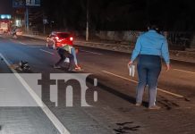 Foto: Impacto en Managua : Un motociclista catapultó a un anciano en la Rocargo. Ambos lesionados, el peatón fue trasladado de urgencia al Hospital/TN8