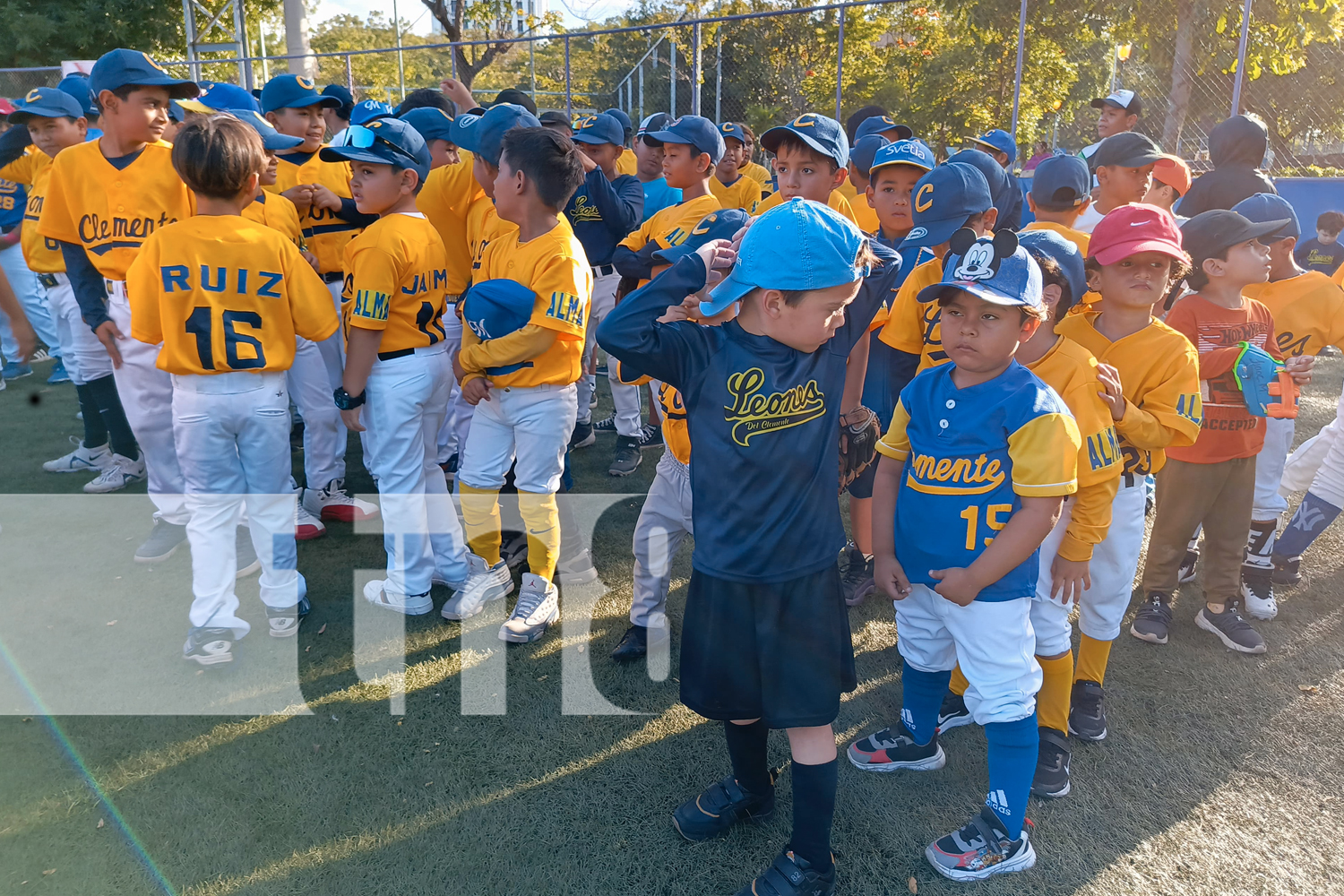 Foto: Managua abre inscripciones para su Academia de Béisbol gratuitamente/TN8