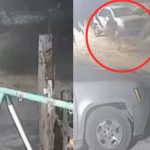 Foto: Perro que "se convierte" en hombre /cortesía