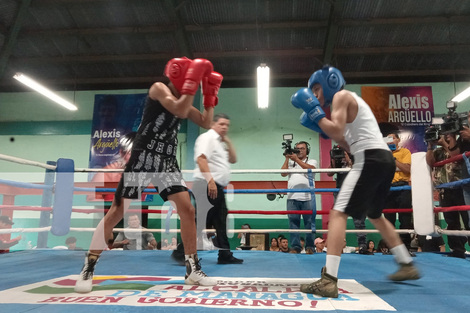 Foto: Desde el gimnasio Roger Deshón en San Judas, la Alcaldía de Managua busca talentos para representar a Nicaragua en el boxeo internacional./TN8