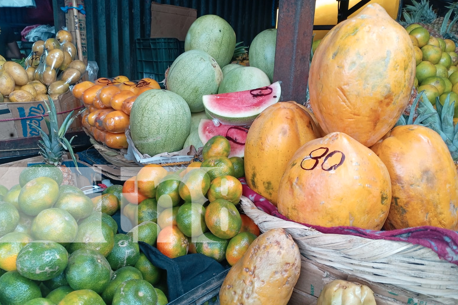 Foto: Mercados de Managua se convierten en un espectáculo aromas/TN8