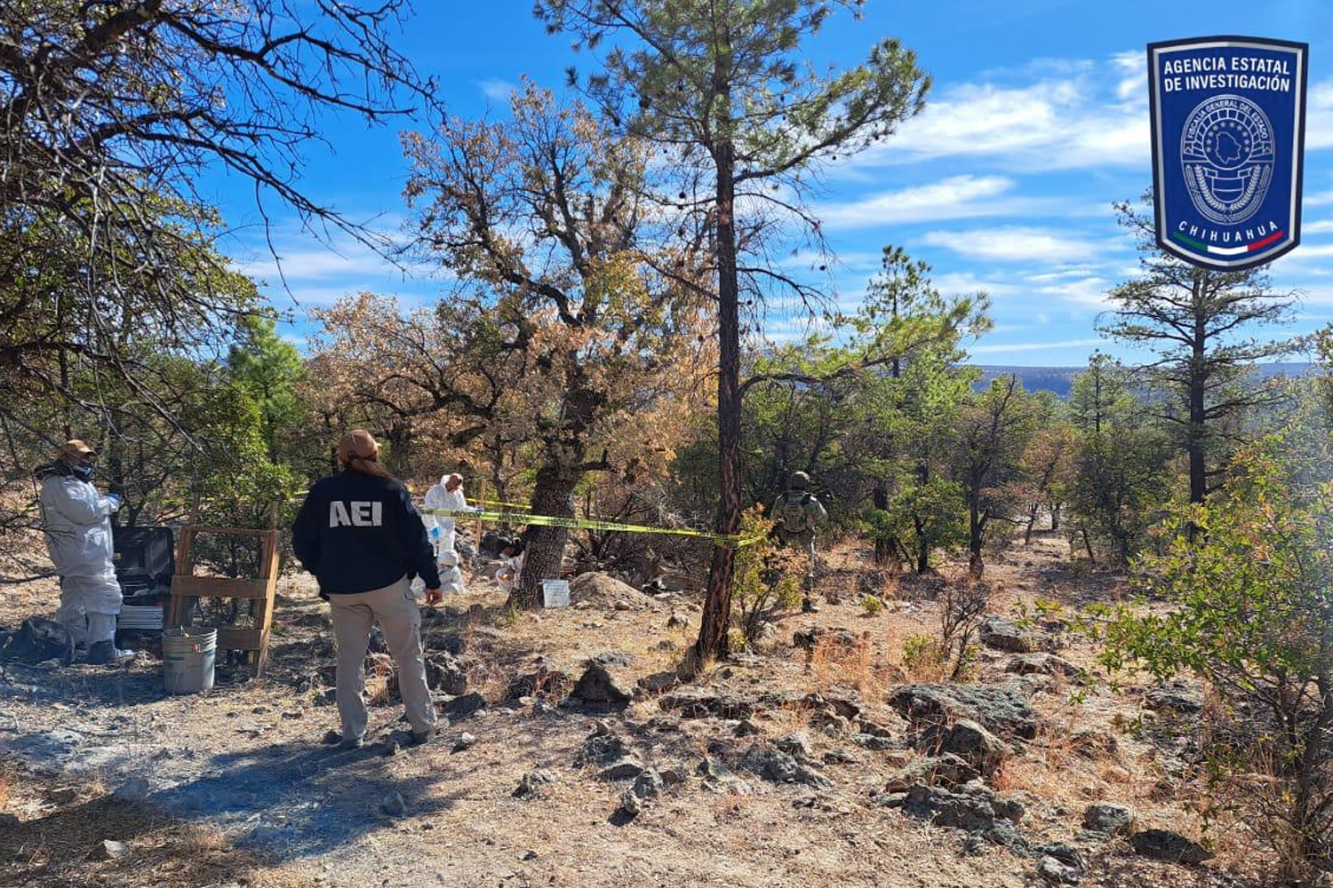 Foto: Hallan 56 cadáveres en fosas clandestinas en México /Cortesía