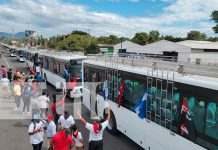 Foto: Nuevas unidades de autobuses provenientes de la República Popular China/Cortesía