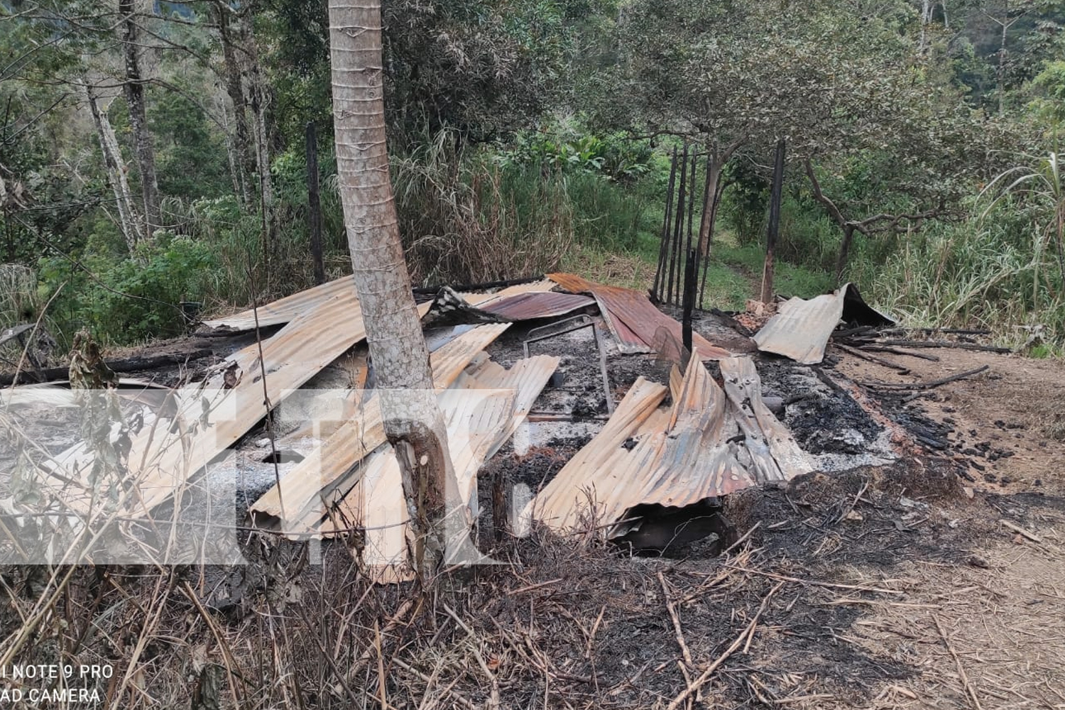 Foto: Incendio arrasa con vivienda y herramientas en finca de café en Jalapa/TN8