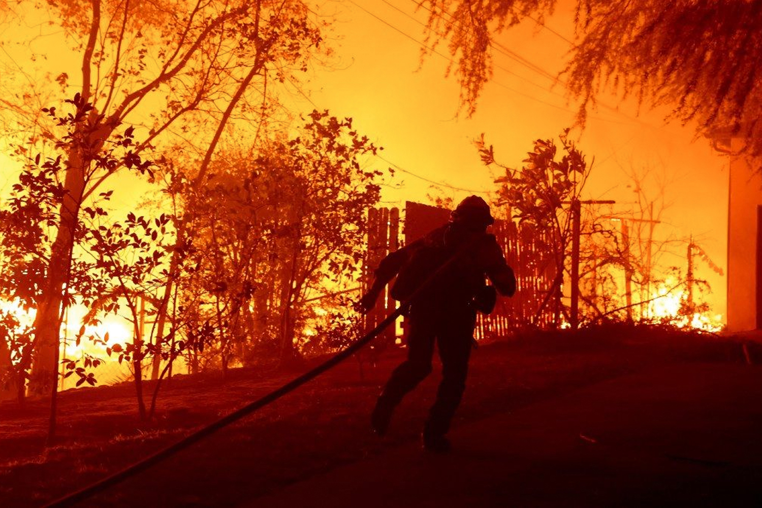 Foto: Actriz muere en los incendios de Los Ángeles /Cortesía