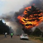 Foto: Incendio forestal en La Patagonia, Argentina /Cortesía