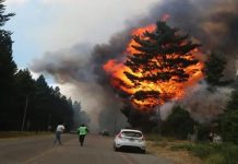 Foto: Incendio forestal en La Patagonia, Argentina /Cortesía