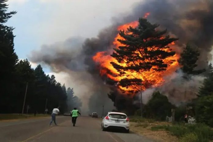 Foto: Incendio forestal en La Patagonia, Argentina /Cortesía