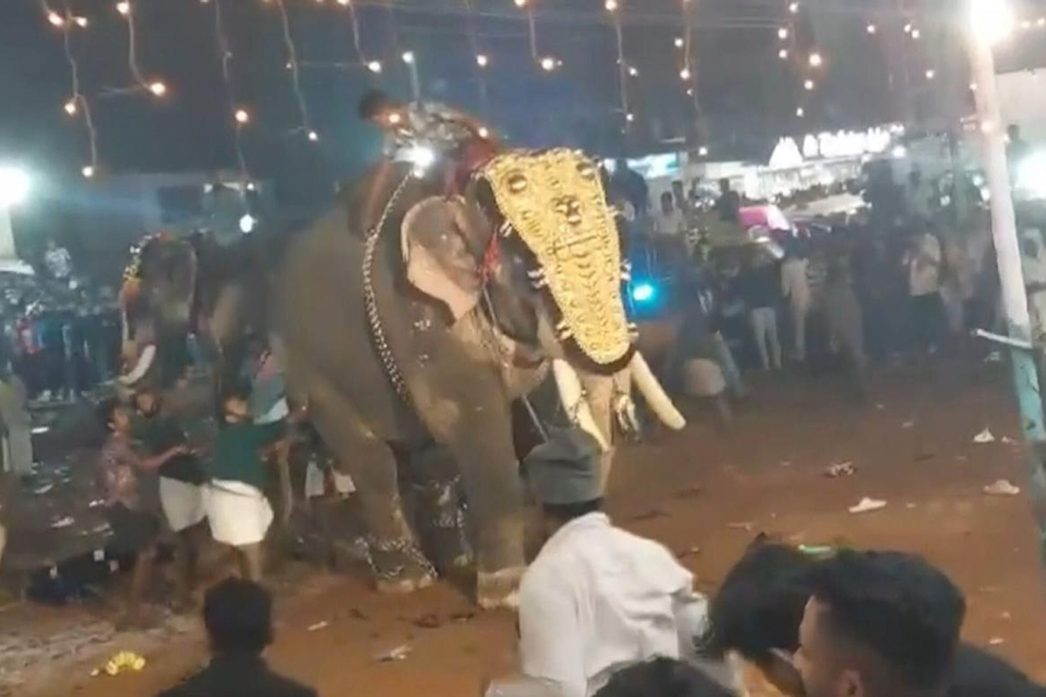 Foto: Elefante embiste a una multitud durante una festividad en la India /Cortesía