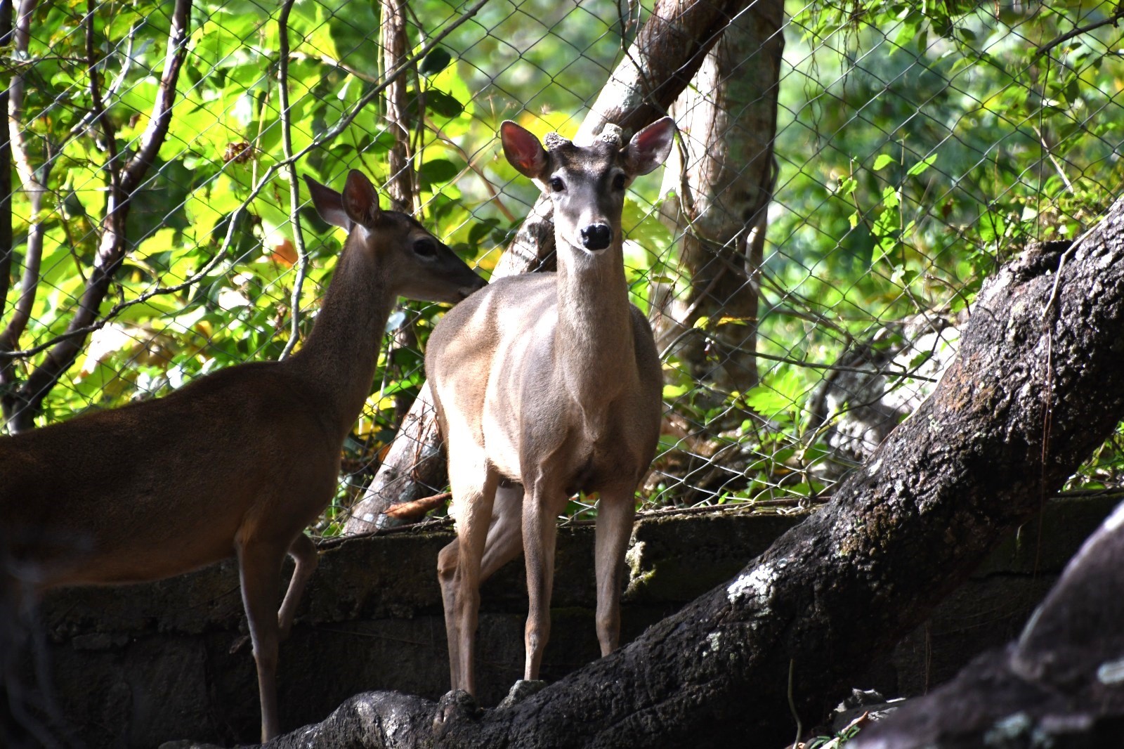 Foto: MARENA promueve conservación en reserva modelo de Chontales