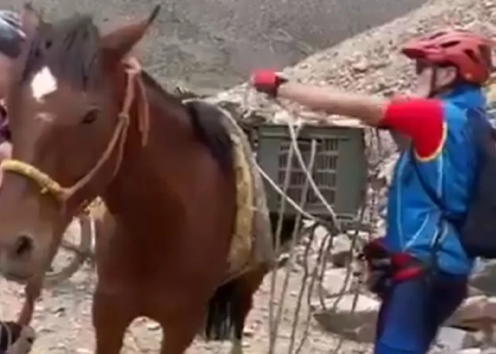 Foto: Ciclistas salvan a un caballo /cortesía 