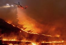 Foto: Incendios históricos devastan Los Ángeles y alrededores