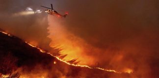 Foto: Incendios históricos devastan Los Ángeles y alrededores