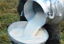 Foto: La producción de leche continúa posicionándose/Cortesía