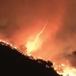 Foto: Incendio de Palisades, en Los Ángeles/Cortesía