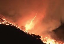 Foto: Incendio de Palisades, en Los Ángeles/Cortesía