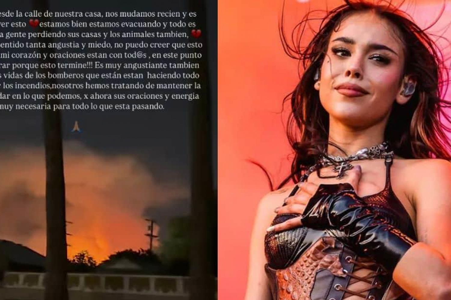 Foto: Danna es evacuada por incendios forestales en Los Ángeles /Cortesía