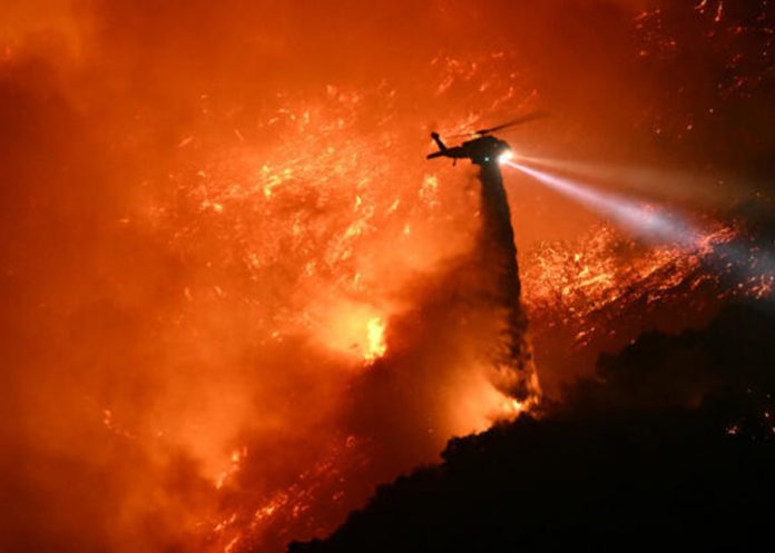 Foto: Tragedia en Los Ángeles /cortesía