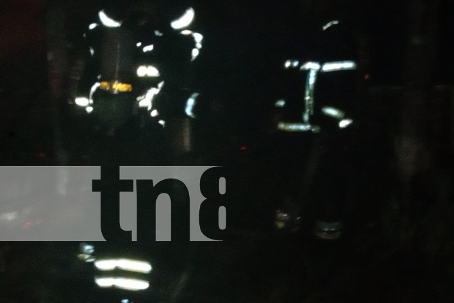 Foto: Voraz incendio consume una bodega de Lomas de Monserrat, en Managua/TN8