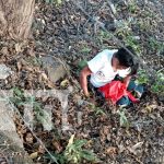 Foto:En menos de 24 horas, un nuevo accidente de tránsito sacude la Isla de Ometepe. Un motociclista resultó con graves lesiones en el brazo. /TN8