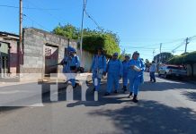 Foto: Intensifican lucha contra el mosquito trasmisor del Dengue /TN8