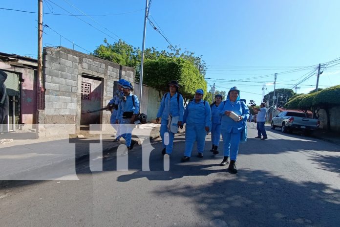 Foto: Intensifican lucha contra el mosquito trasmisor del Dengue /TN8