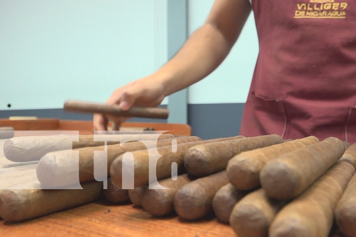 Foto: Extranjeros exploran el proceso de cultivo del tabaco en Estelí / TN8