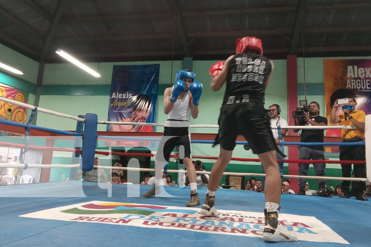 Foto: Desde el gimnasio Roger Deshón en San Judas, la Alcaldía de Managua busca talentos para representar a Nicaragua en el boxeo internacional./TN8