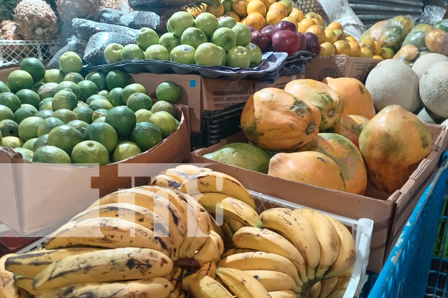 Foto: Mercados de Managua se convierten en un espectáculo aromas/TN8