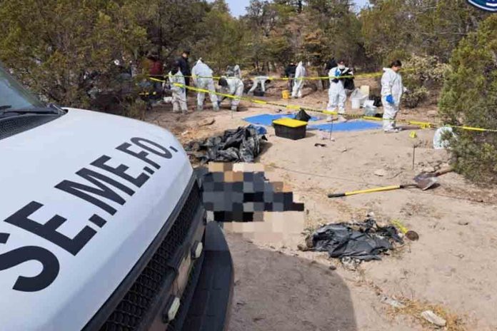 Foto: Hallan 56 cadáveres en fosas clandestinas en México /Cortesía