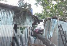 Foto: Rama de árbol destruye techo y deja dos personas lesionadas en Estelí/TN8