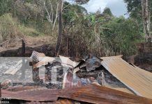 Foto: Incendio arrasa con vivienda y herramientas en finca de café en Jalapa/TN8